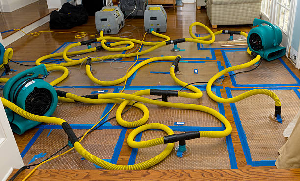 Professional Crawl Space Water Removal technician working in Plantation, FL